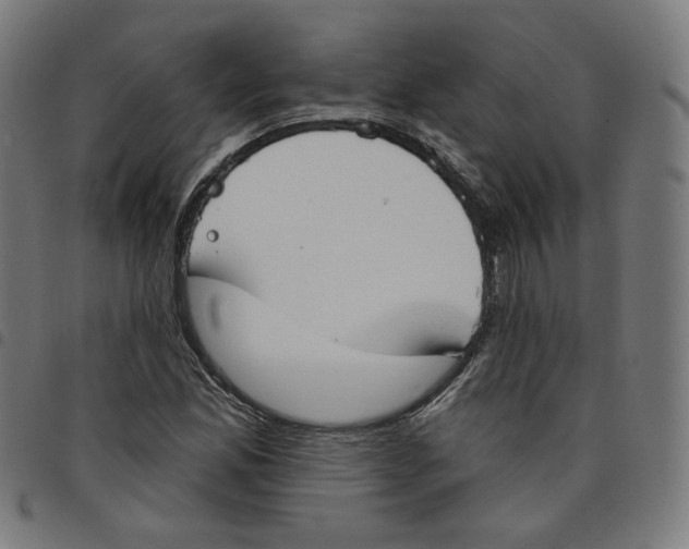 X0000098051165200804251056