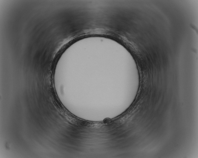 X0000098051166200804251056