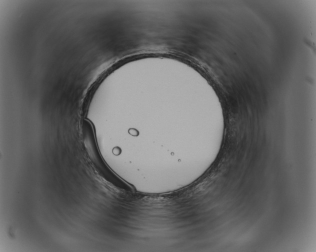 X0000098051168200804251056