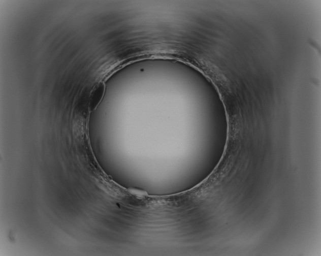 X0000098051169200804251056