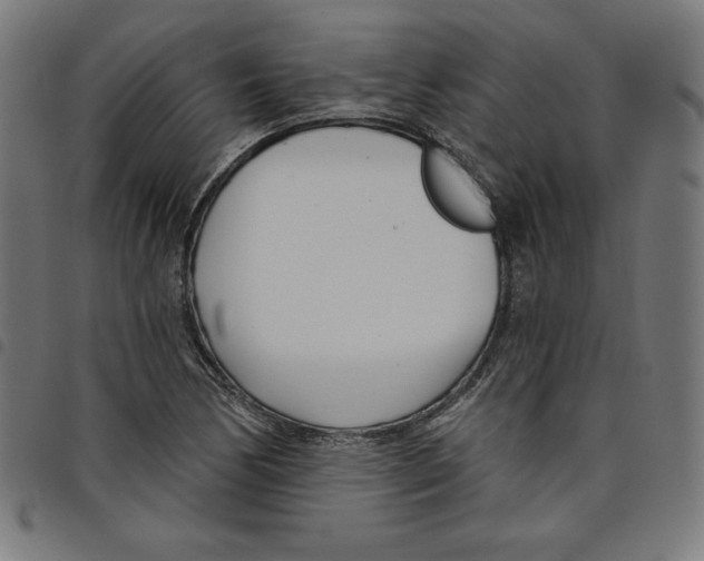 X0000098051170200804251056