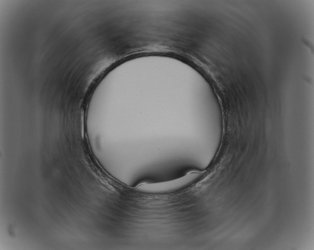 X0000098051171200804251056