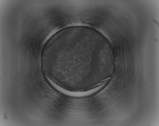 X0000098051173200804251056