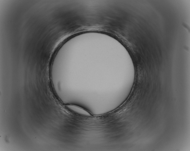 X0000098051174200804251056