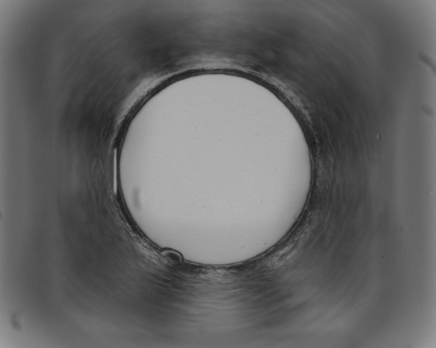 X0000098051175200804251056