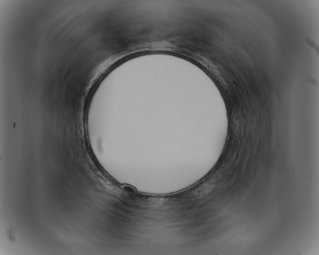 X0000098051176200804251056