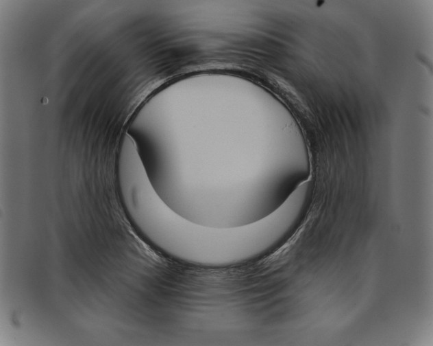 X0000098051177200804251056