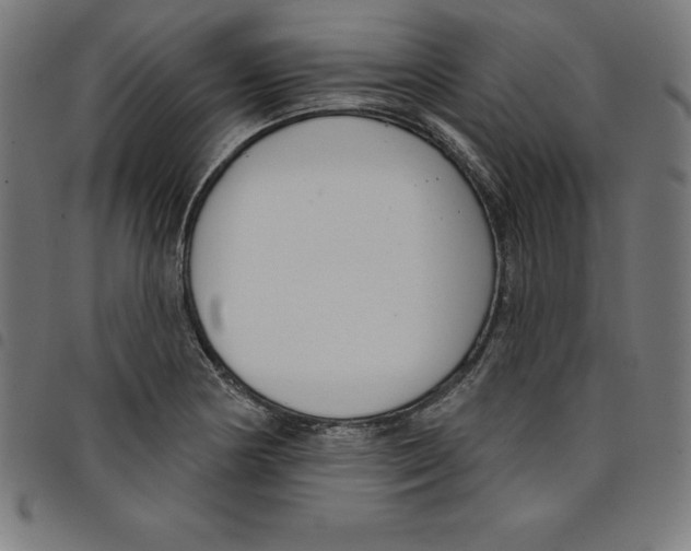 X0000098051178200804251056