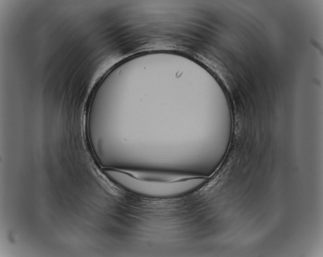 X0000098051179200804251056