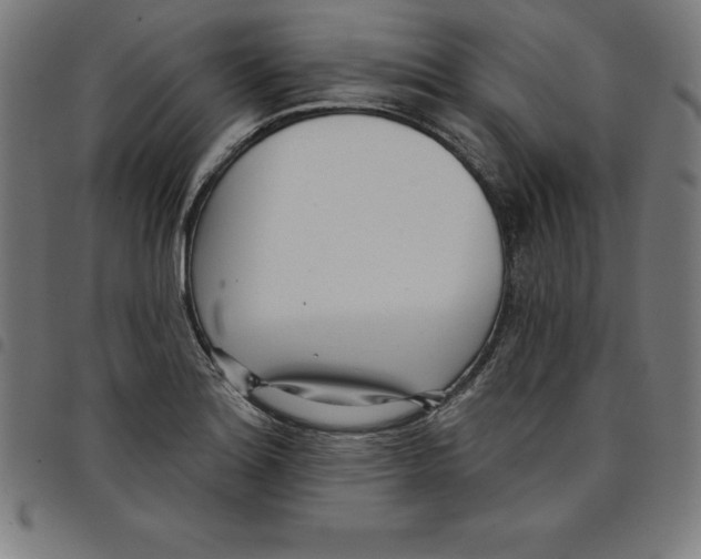 X0000098051180200804251056