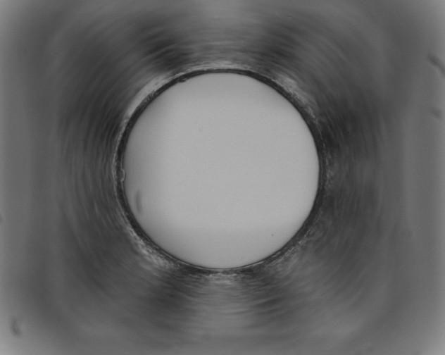 X0000098051181200804251056