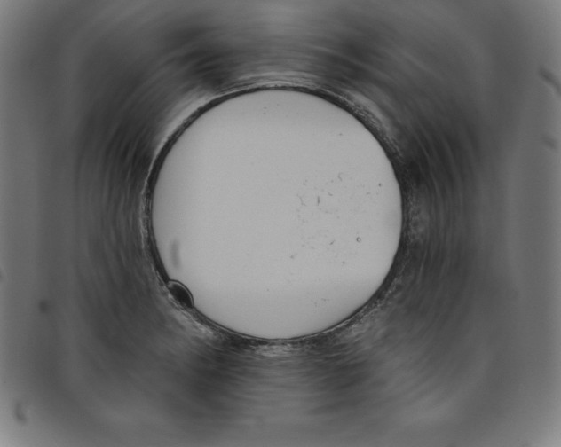 X0000098051182200804251056