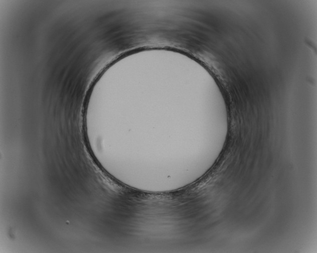 X0000098051183200804251056