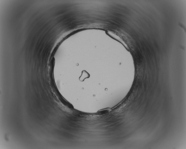 X0000098051184200804251056