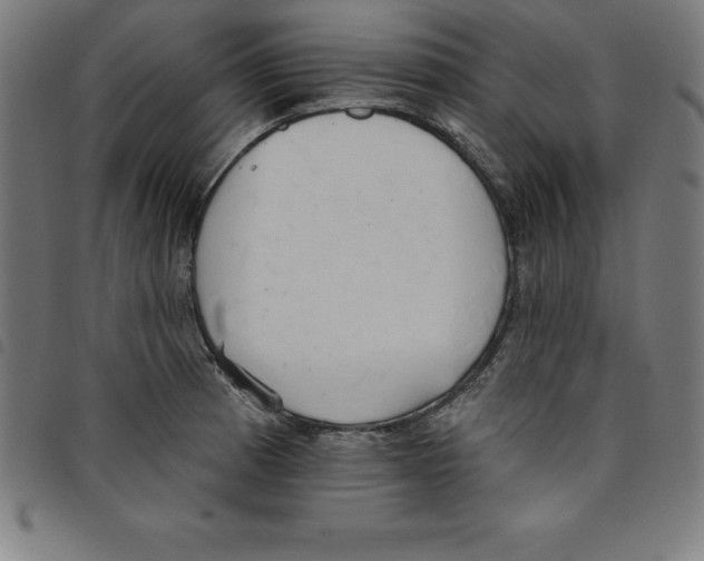 X0000098051185200804251056