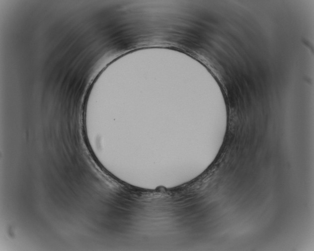 X0000098051187200804251056