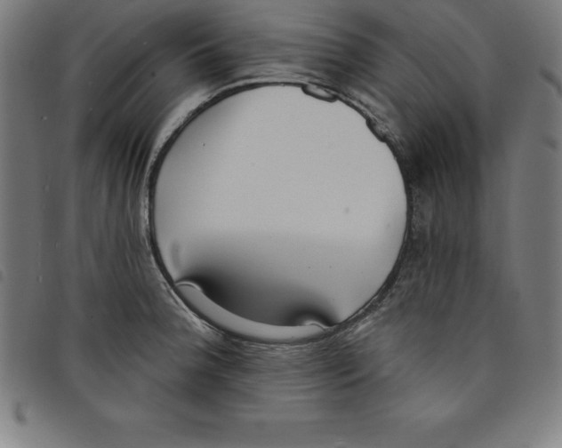 X0000098051188200804251056