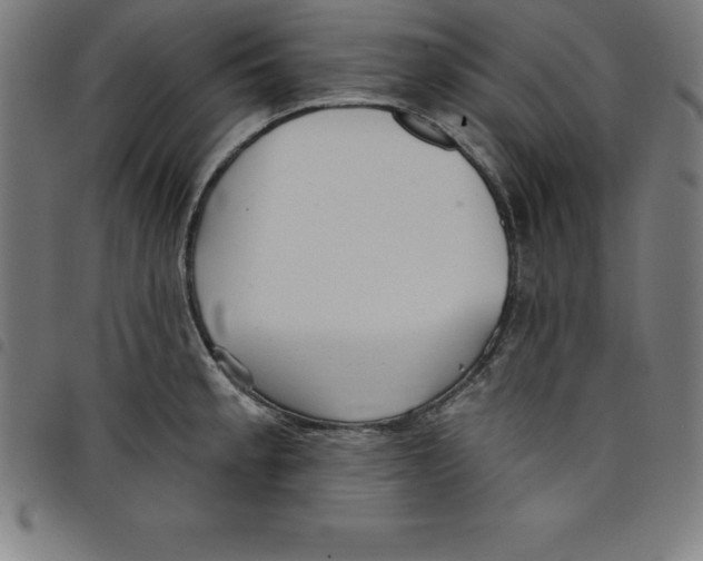 X0000098051189200804251056