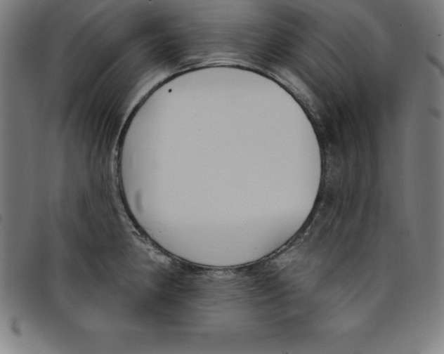 X0000098051190200804251056