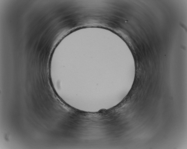 X0000098051191200804251056