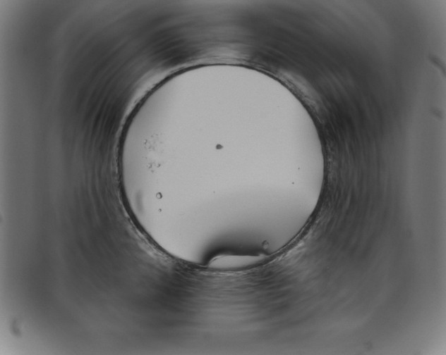 X0000098051192200804251056