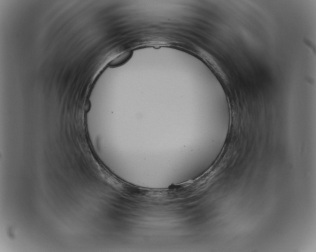 X0000098051194200804251056