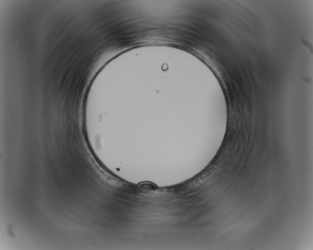 X0000098051195200804251056