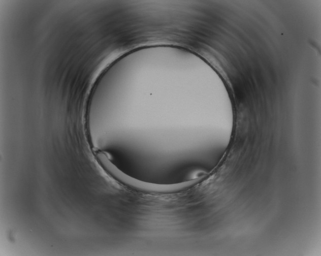 X0000098051197200804251056