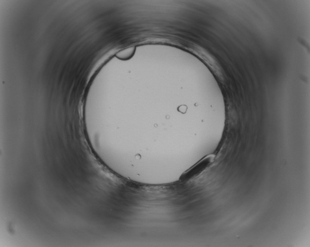 X0000098051198200804251056