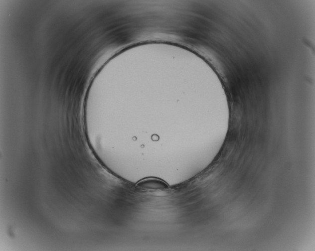 X0000098051199200804251056