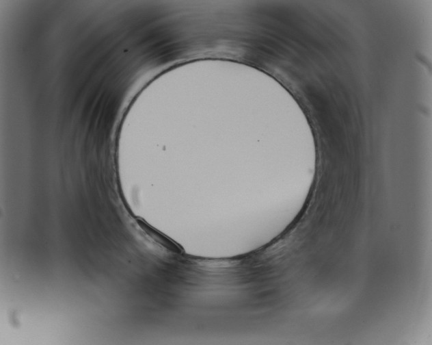 X0000098051200200804251056