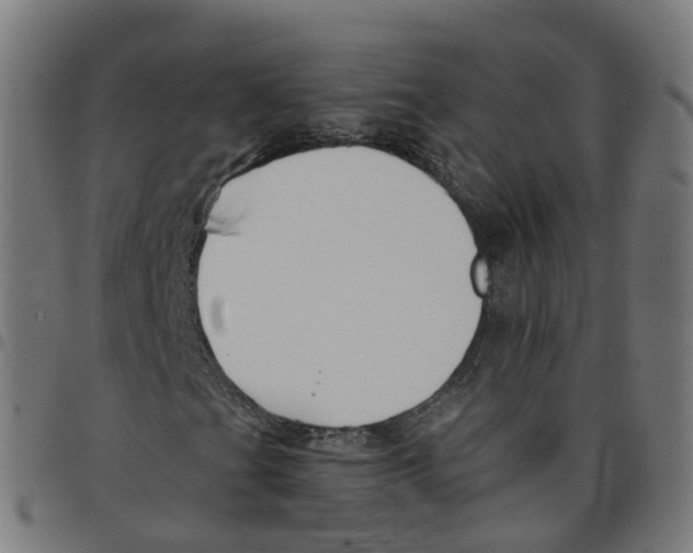 X0000098051201200804251055