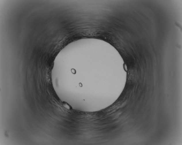 X0000098051202200804251055