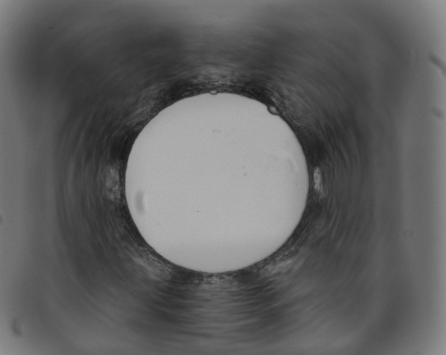 X0000098051203200804251055