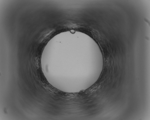 X0000098051205200804251055