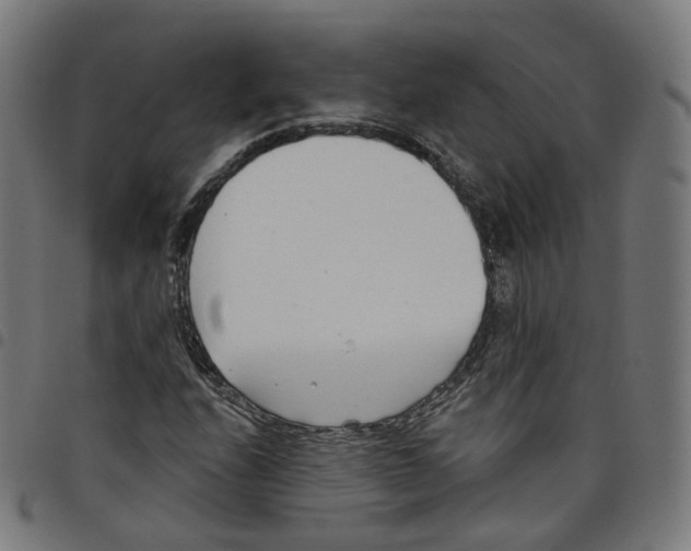 X0000098051208200804251055