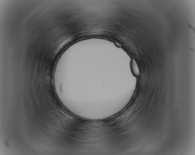 X0000098051210200804251055