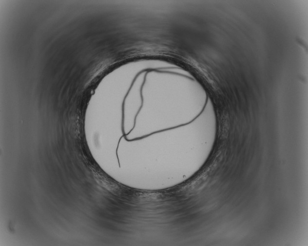 X0000098051211200804251055