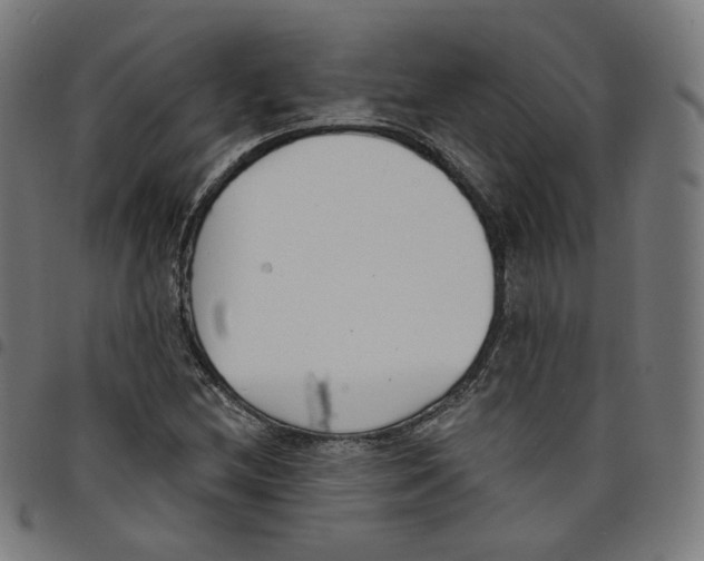 X0000098051212200804251055