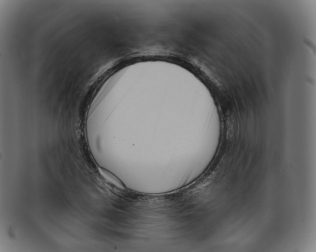 X0000098051213200804251055