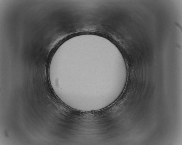 X0000098051214200804251055