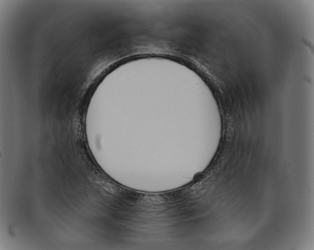 X0000098051215200804251055