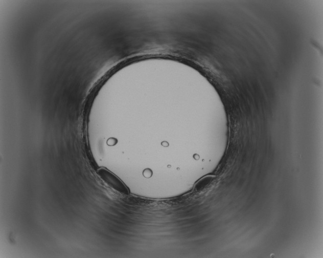 X0000098051216200804251055