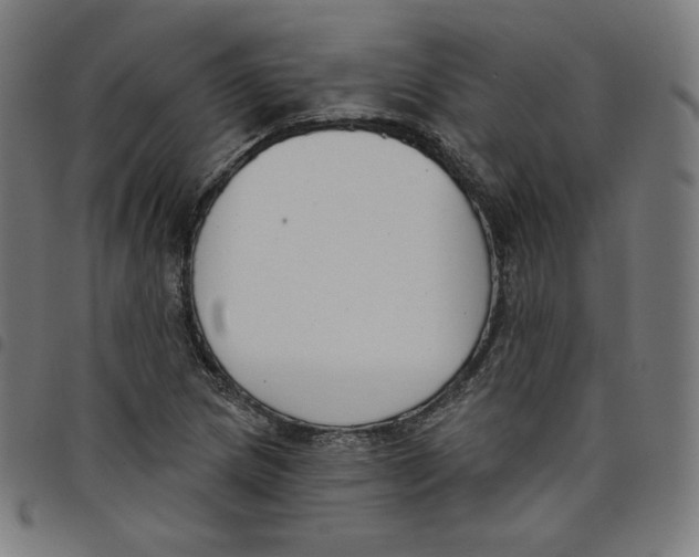 X0000098051217200804251055