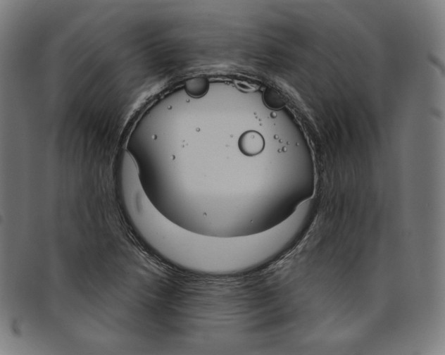 X0000098051218200804251055