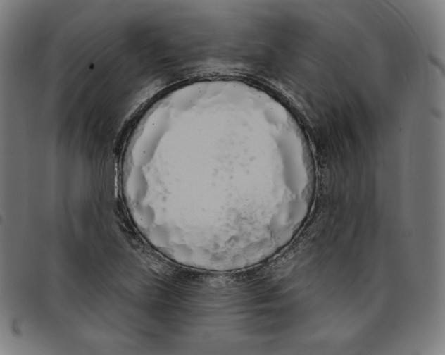 X0000098051219200804251055