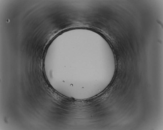 X0000098051220200804251055