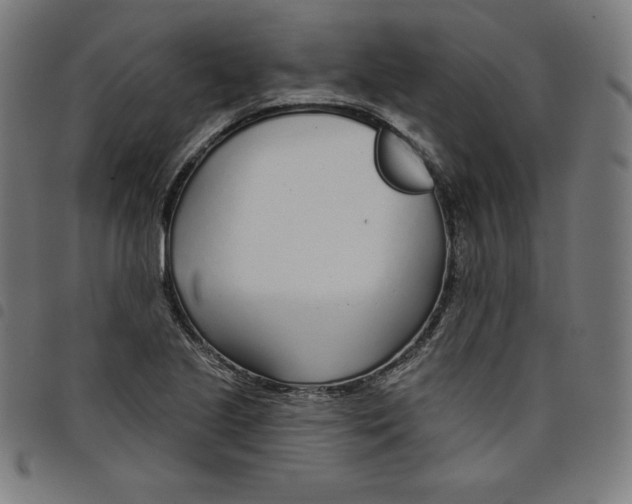 X0000098051221200804251055