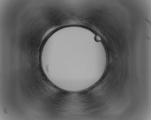 X0000098051222200804251055