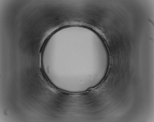 X0000098051223200804251055